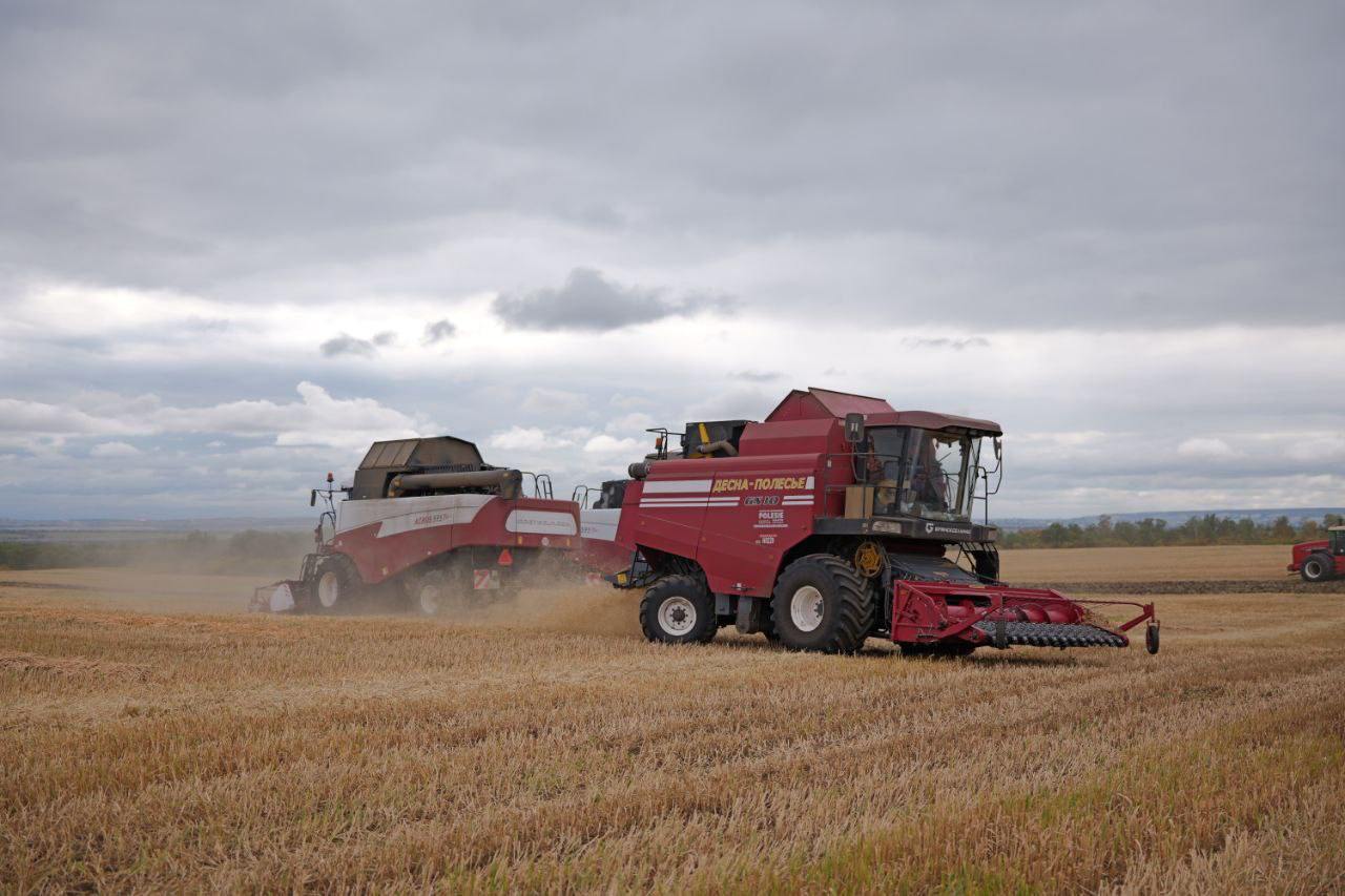 В Саратовской области добились высокой урожайности зерновых